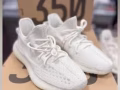 全新 Adidas Yeezy Boost 350 V2 新配色 Bone白色