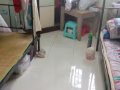 5分鐘步行海軍部地鐵站,可以報地址，只限女性