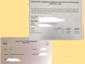 专业1对1补习华文老师