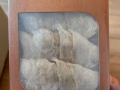 全新 余仁生 精选三角燕窝