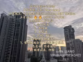 公司直招会计助理(非中介)