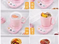 多功能养生锅可以煮花茶，燕窝，BB粥，营养汤，补品，甜点