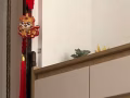 儿童四合一自行车