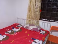 房屋出租