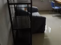 Blk 274A , Jurong west sve 3,高樓, 靠近南大。