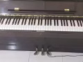 Flora Piano 鋼琴