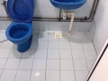 大牌403 男床位出租