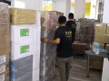 专业做 仓库服务 处存 仓储 办多久都可以。86850345