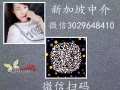 新加坡工作加我