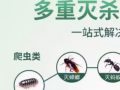 Ninja pest control 殺蟲一級棒👍👍