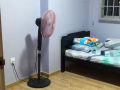 義順普通房出租