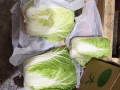 蔬菜批發 $2000/月 包住/levy