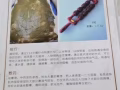 寻求合作伙伴