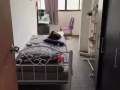 乌节路地铁站附近有单间出租