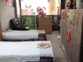 全能养生经络按摩