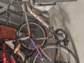 裕廊东自取80