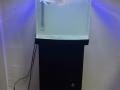 三个月鱼缸