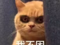 兼职，叉车司机都行