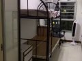 海军部普通法 出租