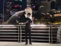 wp 中国人找工作会按摩 做学徒都可以