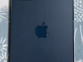 12 Pro Max 256GB