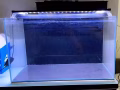 水晶鱼缸+过滤器