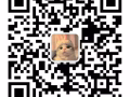 新加坡本地中介公司- 找中国劳务代理合作