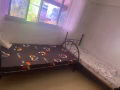 男搭房
