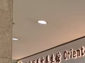 聘请美容美甲美睫纹绣师数名