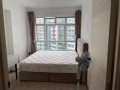 新装修普通房