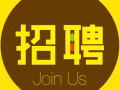 公司直招假发销售人员