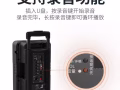 家庭及戶外卡拉OK