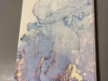 自用iPad  mini4 128GB wifi+插卡版