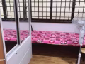 1分钟到海军部地铁站有女搭房出租。请电：91505796