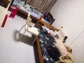 [已租]近文礼地铁站659D大普通房出租