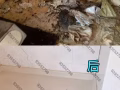 新加坡专业14年家政服清洁打扫经验为您～收纳整里清洁打扫还您洁净如新、排忧解难 愿我真诚的服务换来您满意的笑^_^^_^