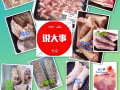 专卖冷冻肉食品牛羊猪鸡，欢迎朋友咨询