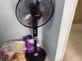 閒置風扇出購