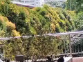 轉租女搭房，沒有中介費，兀蘭地鐵口，可報製造業地址