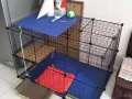 两个大猫笼便宜转让