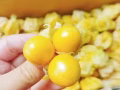 有鲜活小龙虾 大闸蟹 各种海鲜 蔬菜 水蜜桃 等等可以全部团购