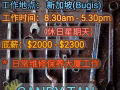 Handyman 水工，电工