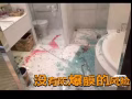 防爆膜，隔热膜，蒙砂膜，颜色膜，设计膜，木色膜，变色膜....