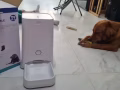 閒置寵物用品甩