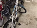 盛港自取，要回國了自行車低價出