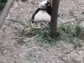 阳光帅气暖男找姐姐，阿姨