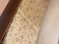 海馬床墊，波那維斯達自取
