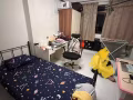 海军部 主人房 出租
