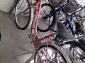 女生自行车