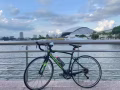 美利达公路车出售